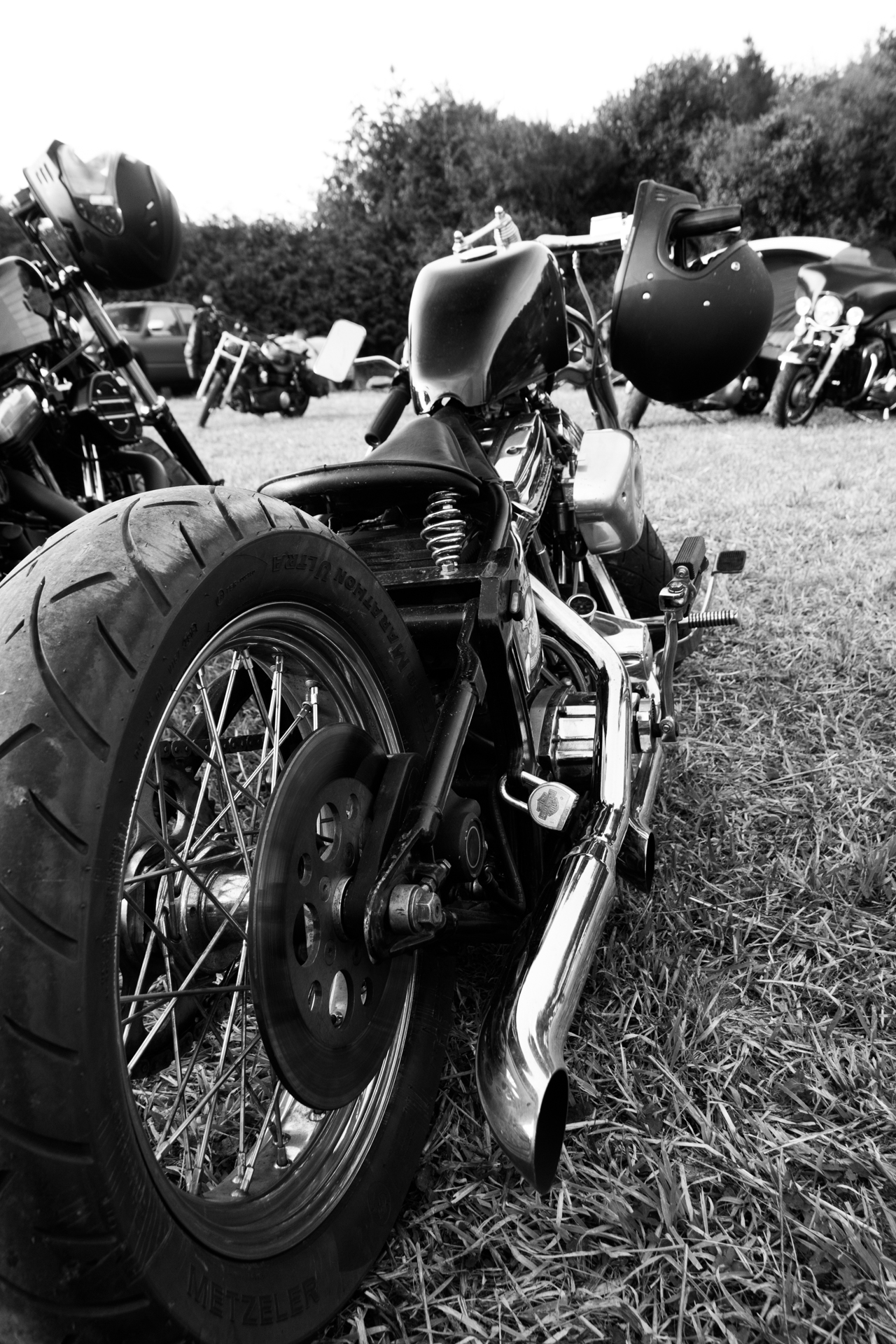 L' Oeil Noir Photographie